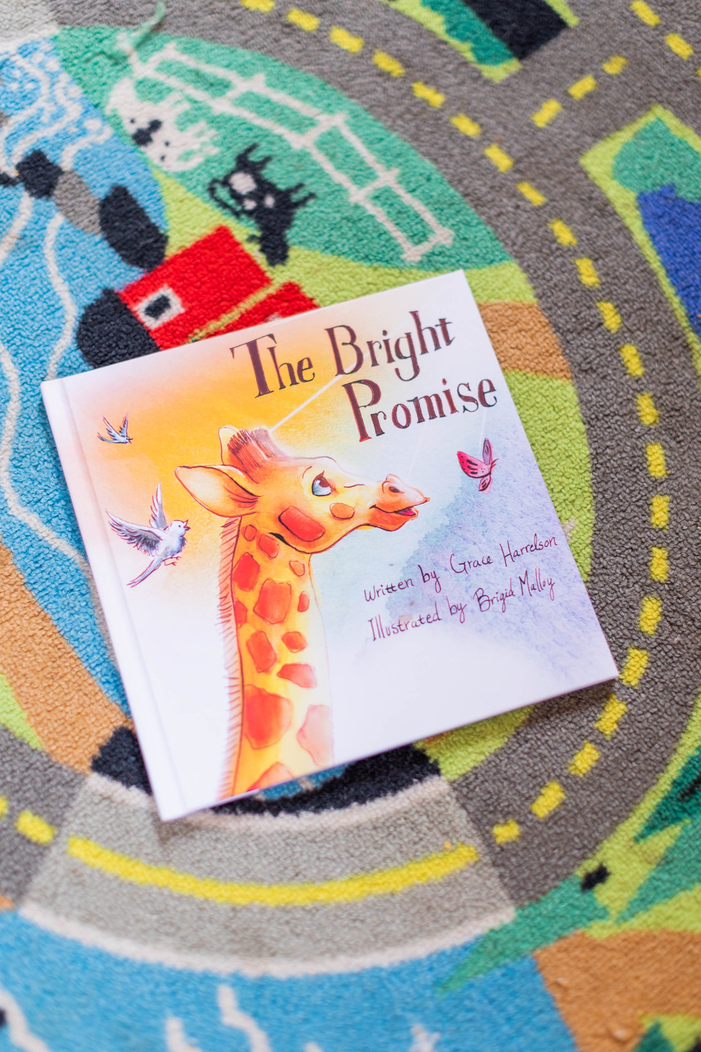 The Bright Promise